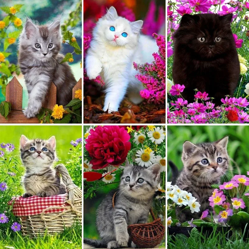 DIY 5D Diamond Painting Kits B - Resin Art Baby 评论和价格
