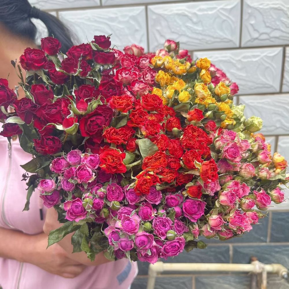 Natural Dried Bubble Rose Flow - Resin Art Rose 评论和价格